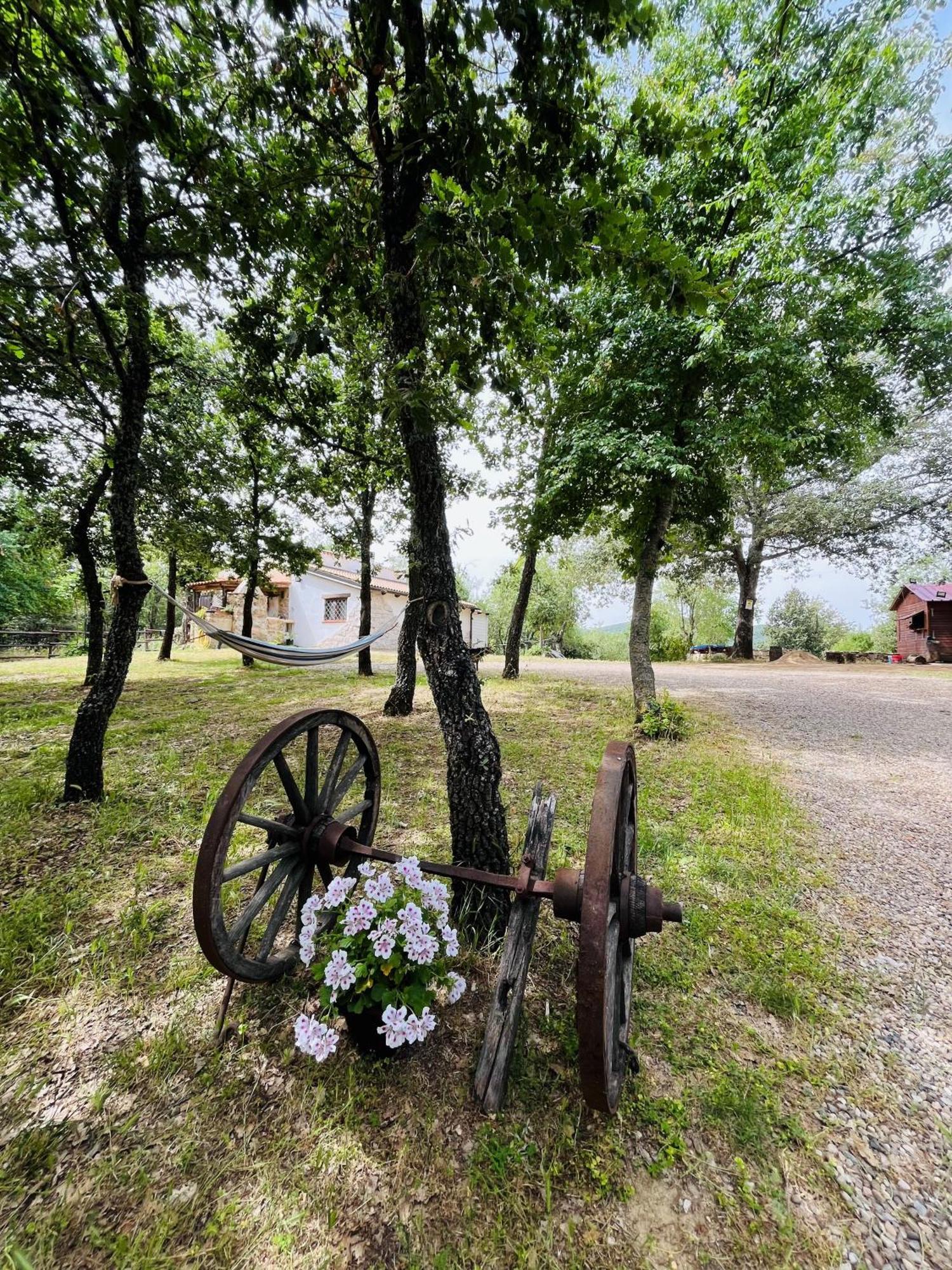 Ovostolai Cottage Fonni Exterior foto